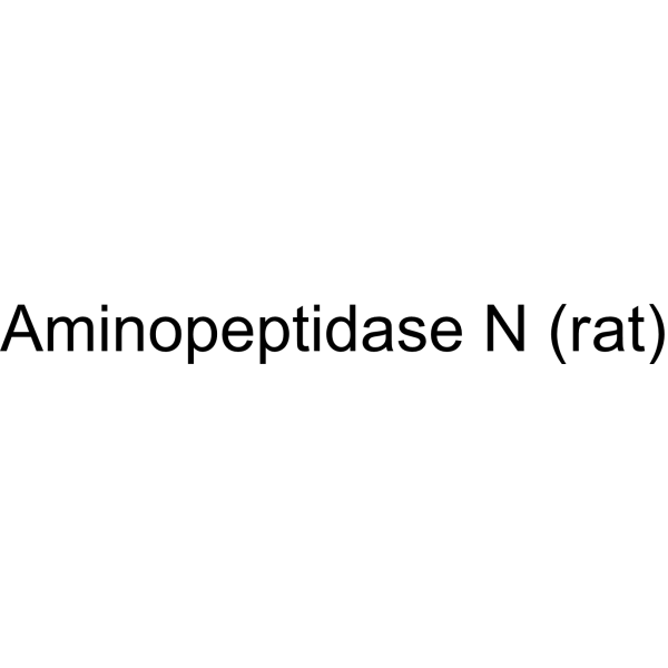 Aminopeptidase N (rat) (APN/CD13) 9054-63-1